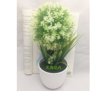 濟南盆景產(chǎn)品庫 奇石盆景的價格、圖片與廠家指南