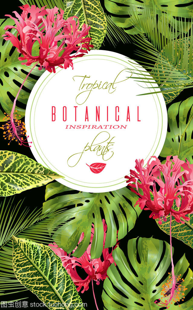 熱帶花卉垂直橫幅 自然藝術(shù)與空間美學的融合